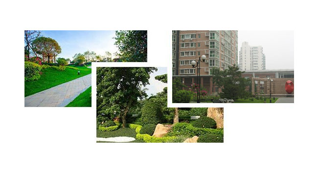 產(chǎn)品優(yōu)勢